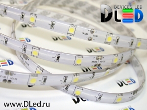   Светодиодная лента DLed IP65 SMD 5050 30LED белая