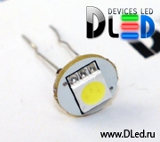   Светодиод DLed 1 SMD5050 с усиками